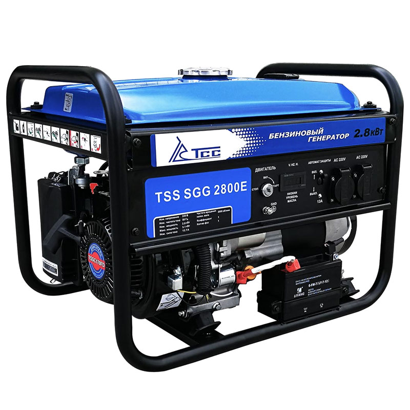  генератор TSS SGG 2800E:  у официального дилера ТСС, цена